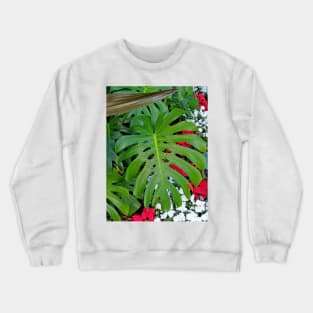 Waikiki Split Leaf Crewneck Sweatshirt